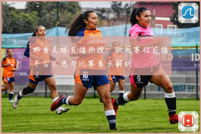哪看足球直播热搜：欧冠赛程直播平台汇总与比赛看点解析