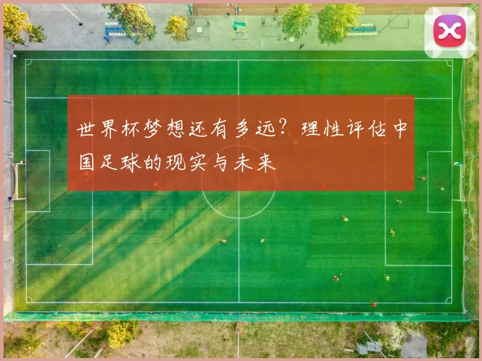 世界杯梦想还有多远？理性评估中国足球的现实与未来