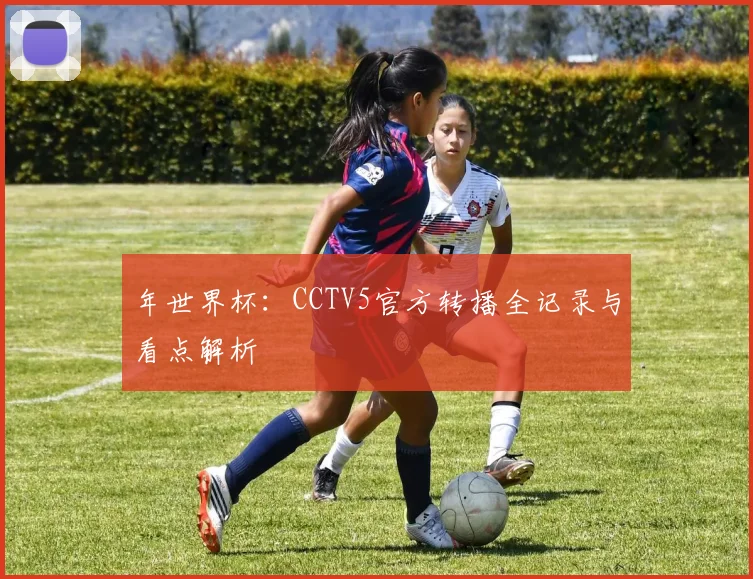 年世界杯:CCTV5官方转播全记录与看点解析