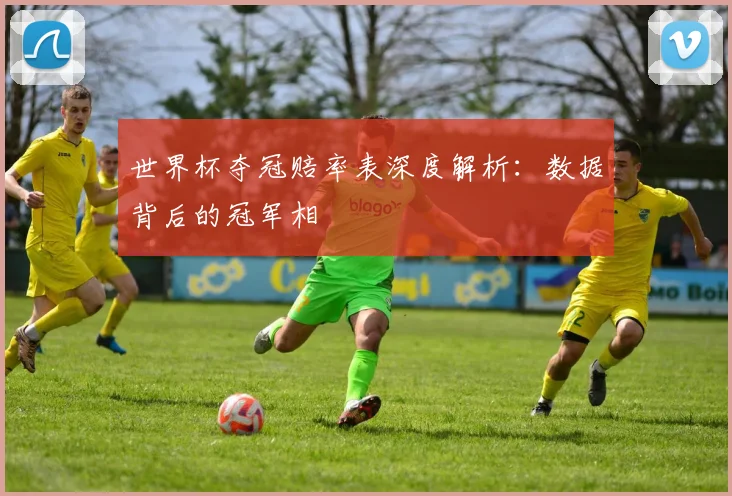 世界杯夺冠赔率表深度解析：数据背后的冠军相