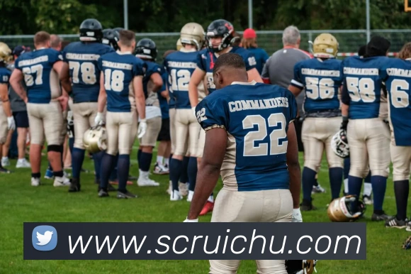 米兰体育在线登陆入口APP 封面图